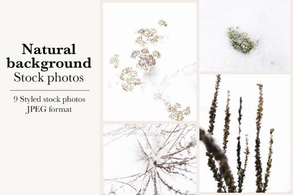 Winter Backgrounds: Stylized Nature Photos for Your Projects